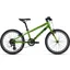 Giant ARX 20 Kid's Bike in Green