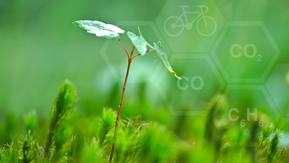 UN promotes cycling to fight climate change