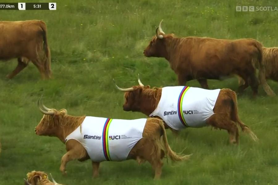 Home Worlds: Glasgow 2023 UCI “mega” World Championships draws to a close