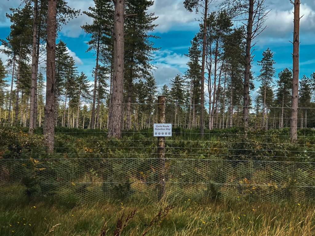 The Rebellion Way – Meander through Norfolk’s majestic beauty