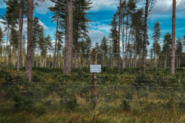 The Rebellion Way – Meander through Norfolk’s majestic beauty