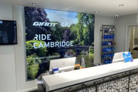 Giant Cambridge