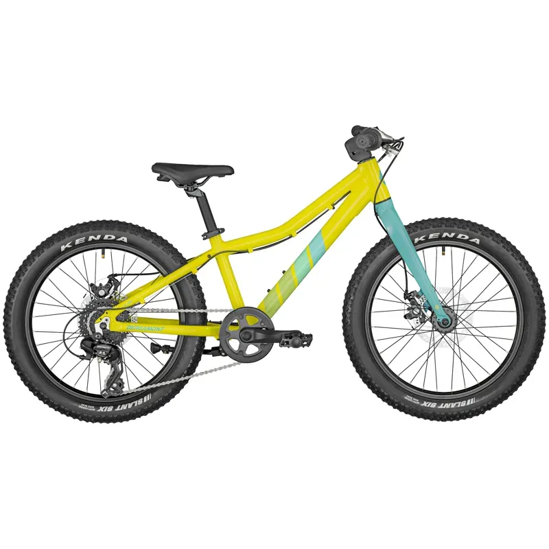 Scott roxter 20 for sale online