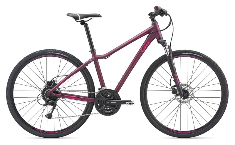2019 Liv Rove 2 Disc Womens Hybrid bike in Red