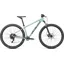 Rockhopper Comp 29 Mountain Bike in White Sage/Forest Green