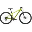 Specialized Rockhopper 29 - Hardtail Mountain Bike in Olive Green