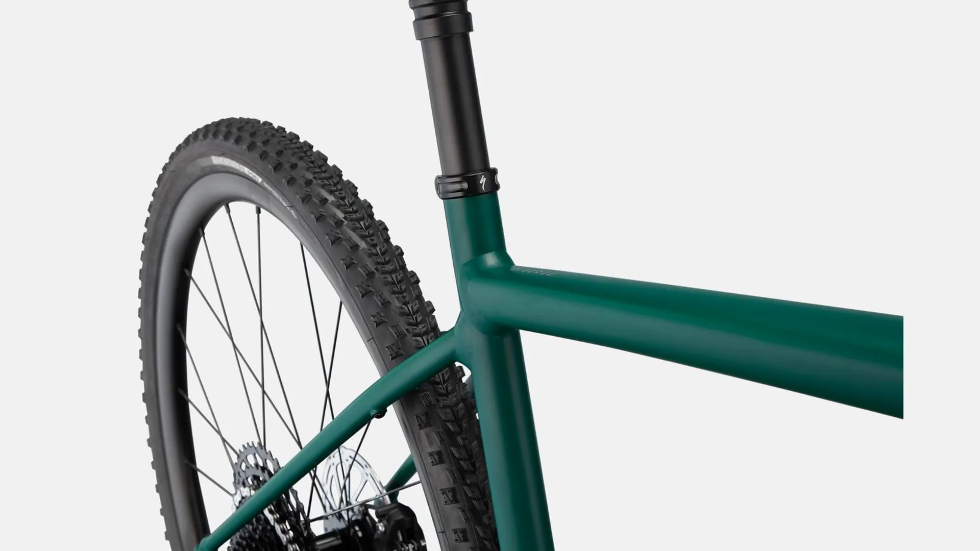 Diverge expert evo best sale