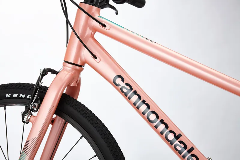 Pink cannondale outlet