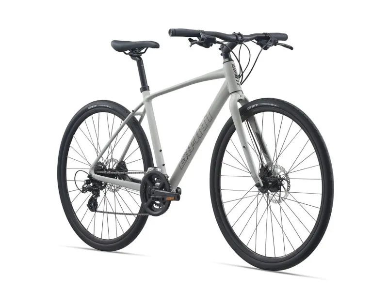 Giant Escape 2 Disc Hybrid Bike in Grey