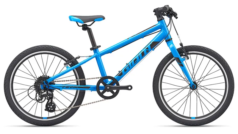 Giant arx 20 blue sale