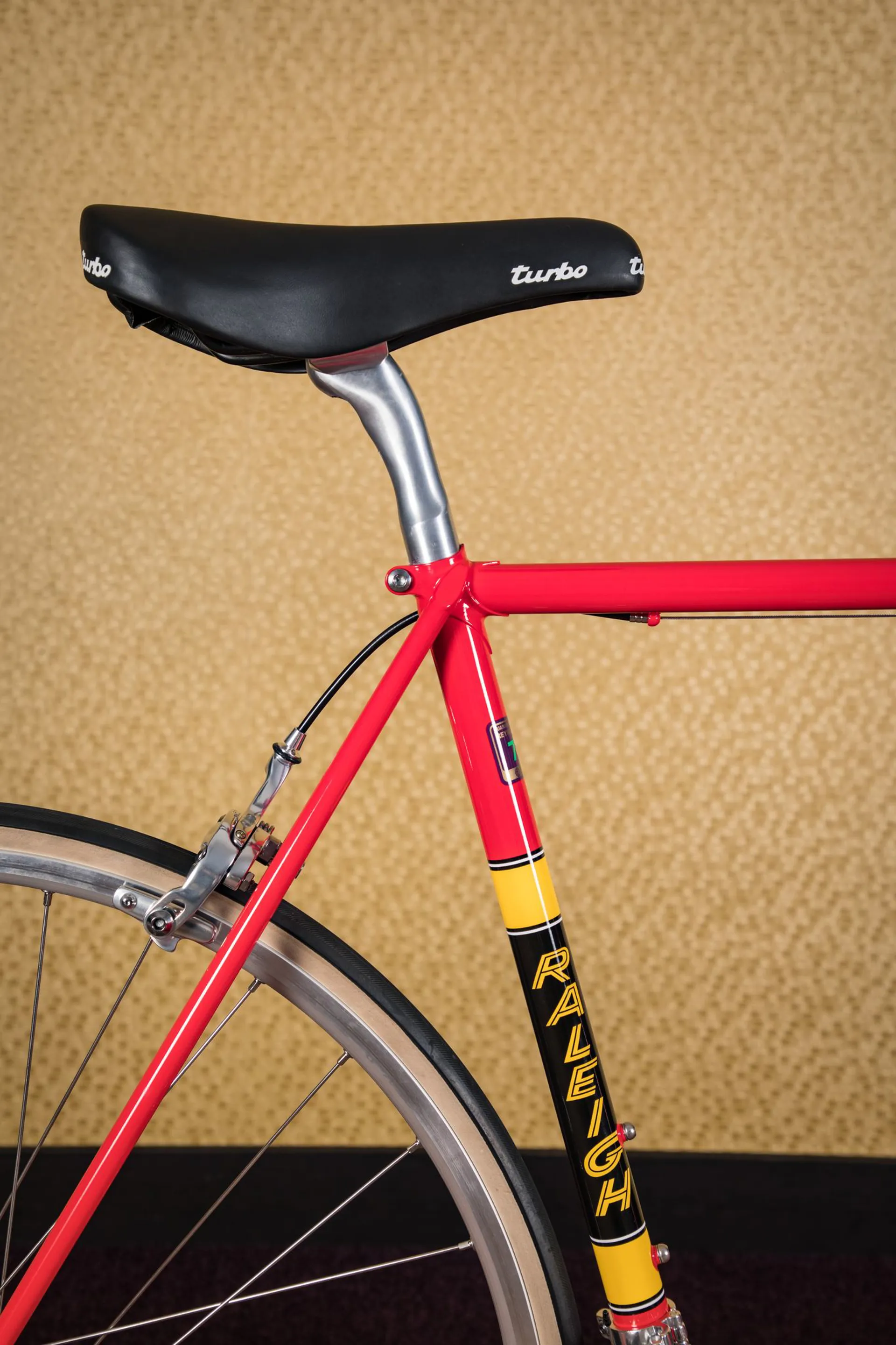 Raleigh team bike 2025