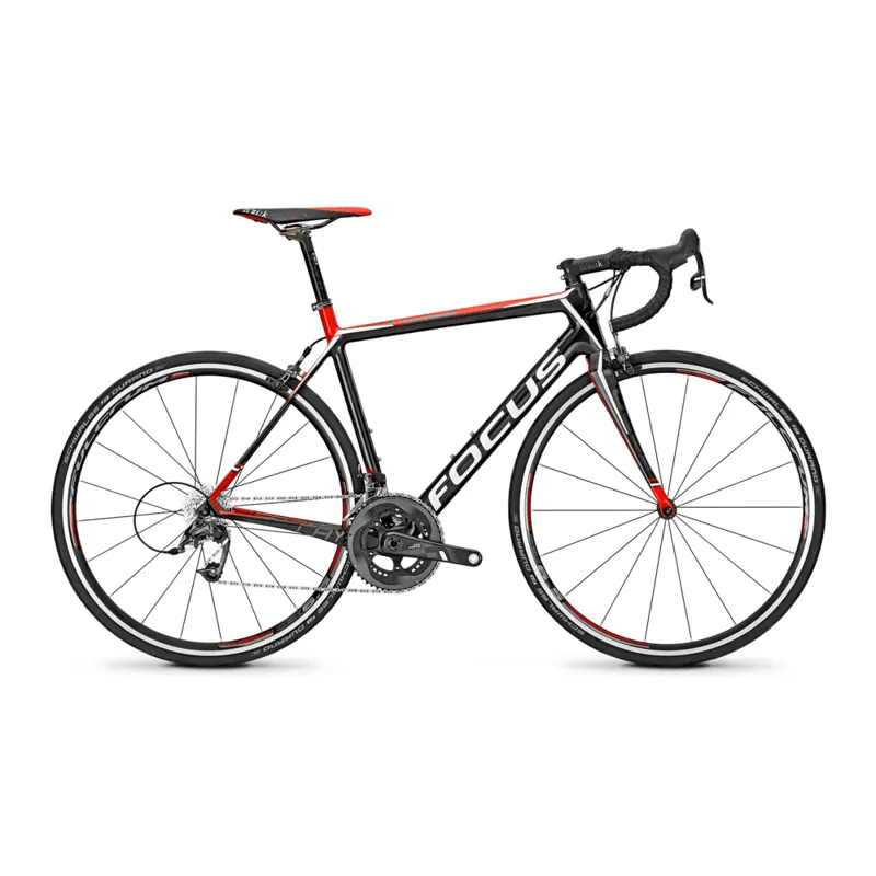 Focus cayo size guide deals