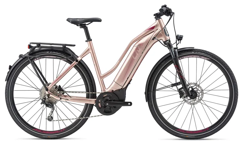 2019 Liv Amiti E 1 25km Womens Electric Hybrid in Brown