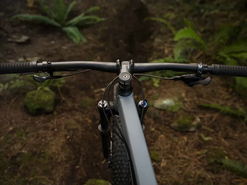 2019 Trek Roscoe 8 Hardtail Mountain Bike in Grey