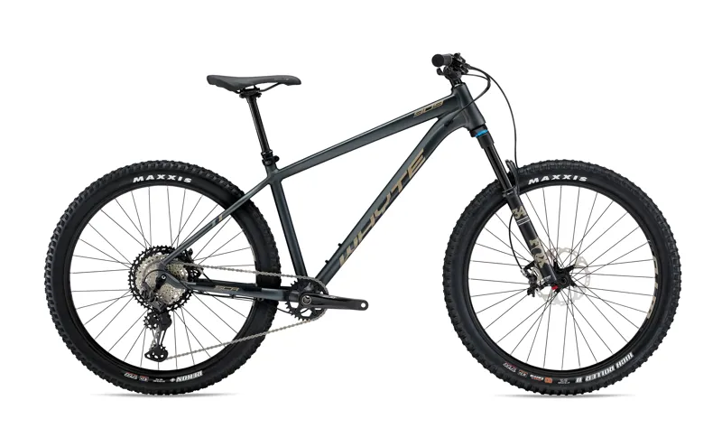 Whyte 909 V2 2020 Granite Grey Silver Mountain Bike
