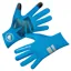 Endura FS260 Pro Nemo Gloves in Blue